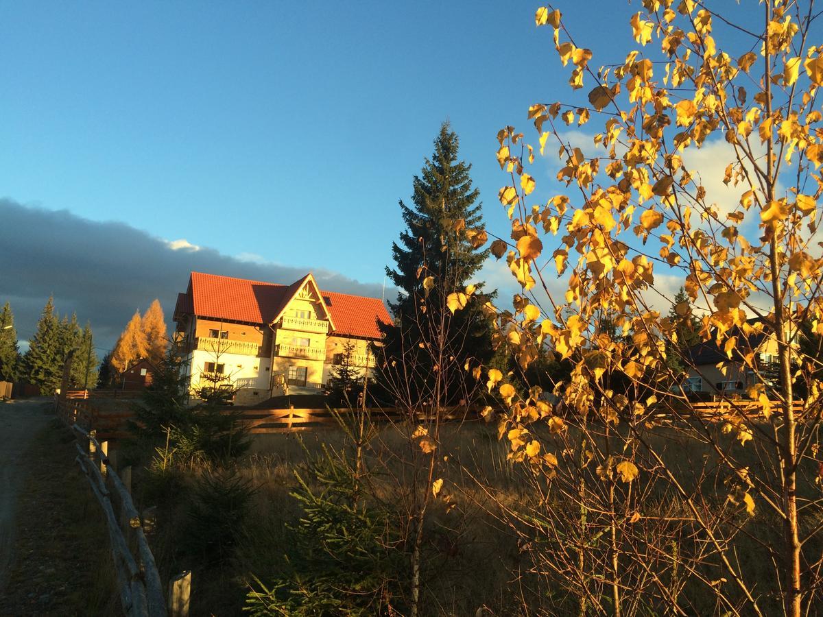 Pensiunea Colt De Rai Beliş Buitenkant foto
